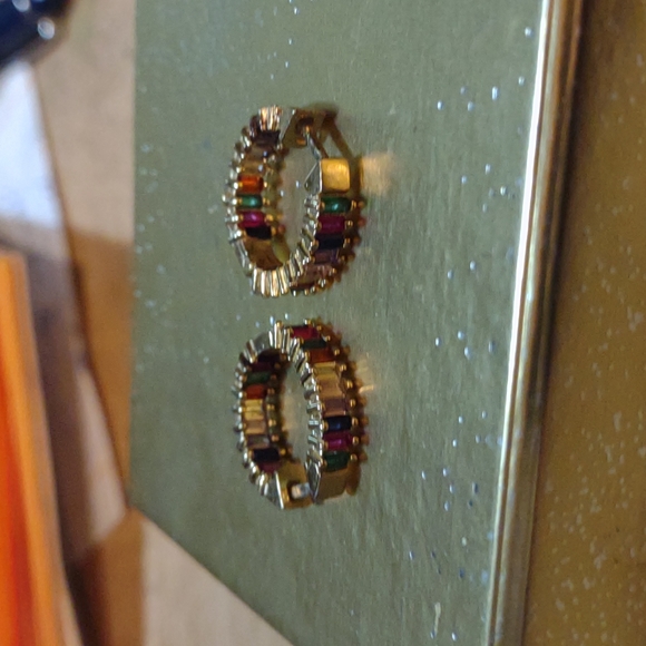 Earrings - Picture 1 of 2